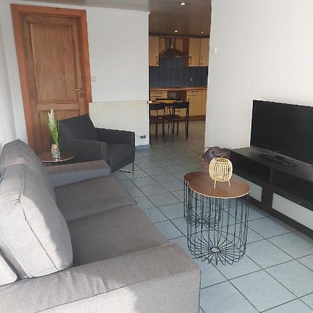 Appartement Rdc Plein Centre Avec Terrasse Vise Bagian luar foto
