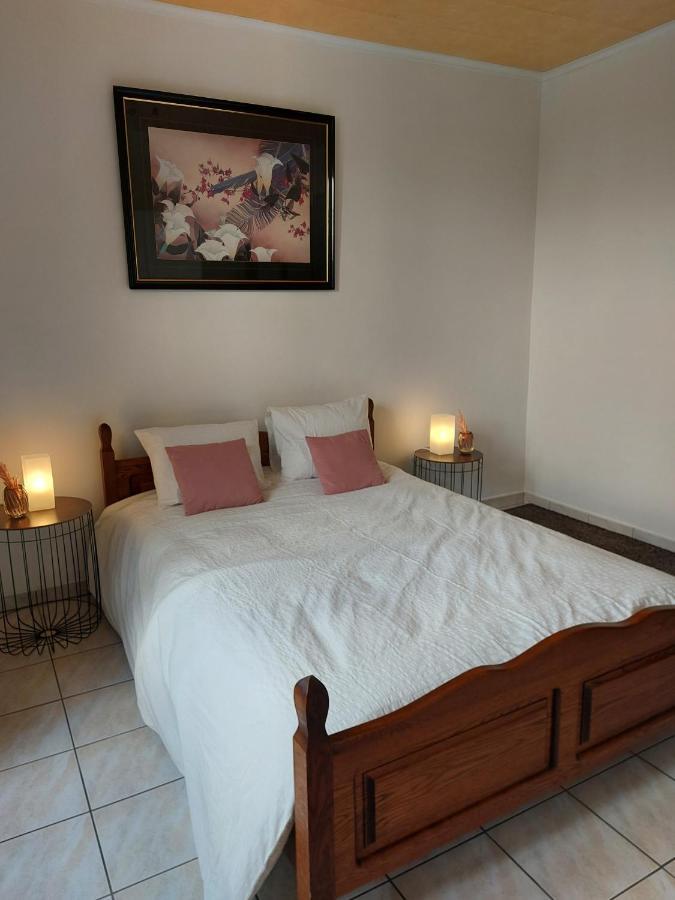 Appartement Rdc Plein Centre Avec Terrasse Vise Bagian luar foto