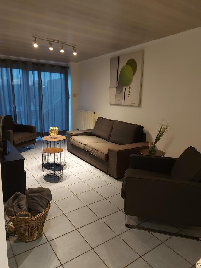 Appartement Rdc Plein Centre Avec Terrasse Vise Bagian luar foto