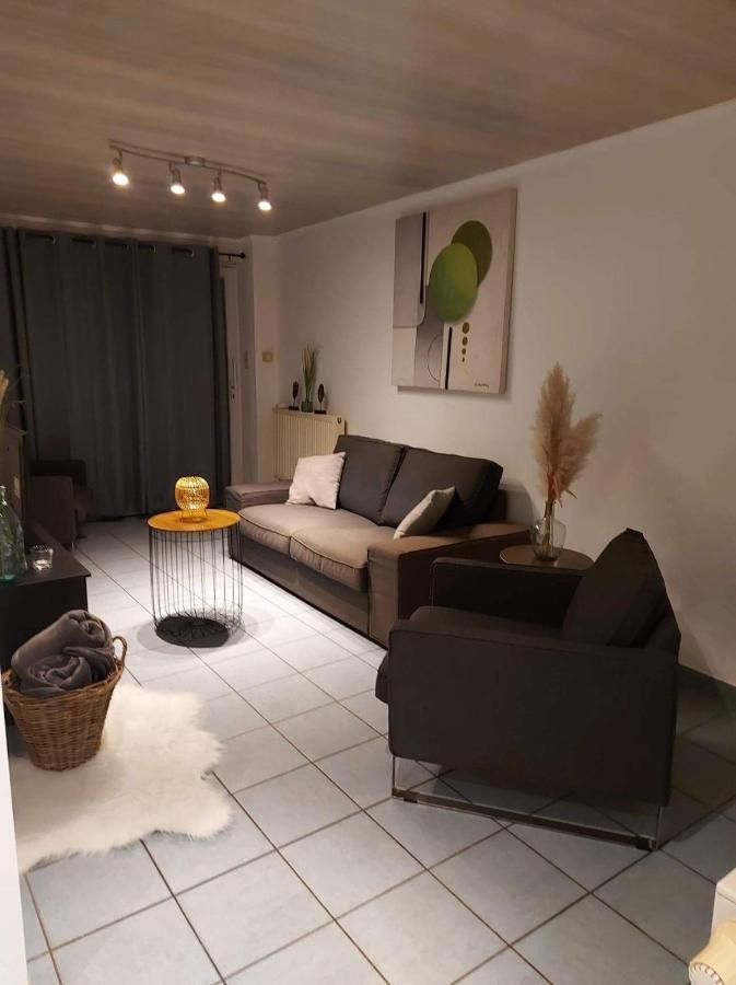 Appartement Rdc Plein Centre Avec Terrasse Vise Bagian luar foto